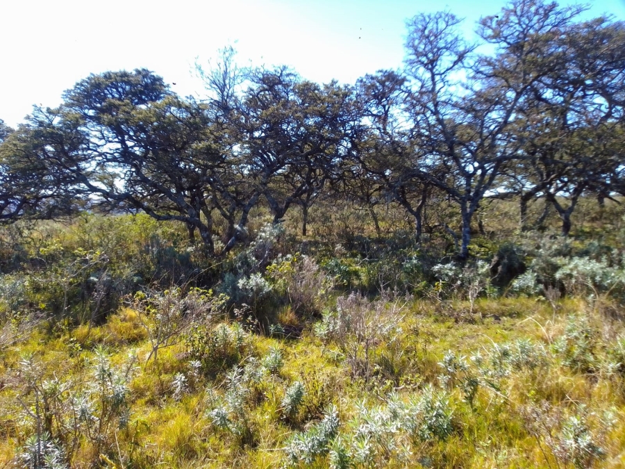 0 Bedroom Property for Sale in Stutterheim Rural Eastern Cape